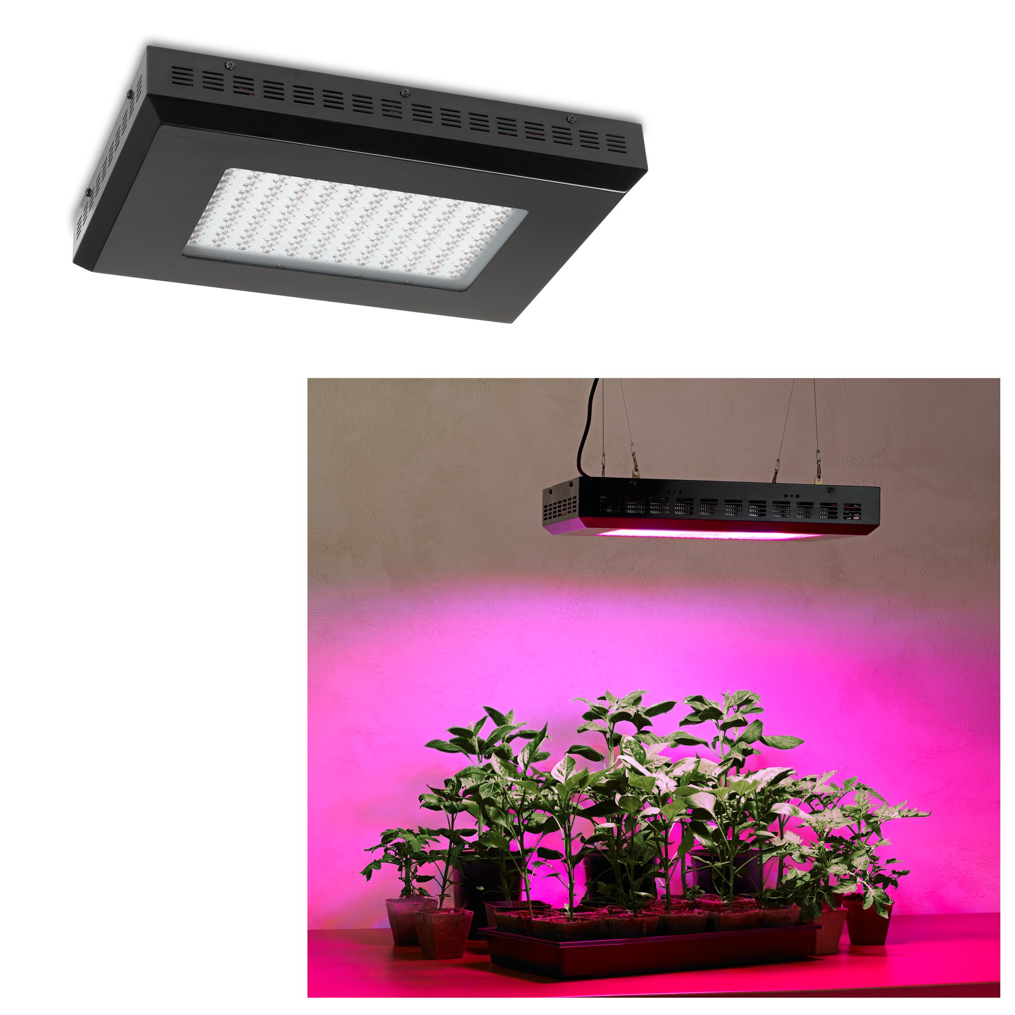 Tesler 300 Watt Rectangular LED Grow Light - #W2237 | Lamps Plus