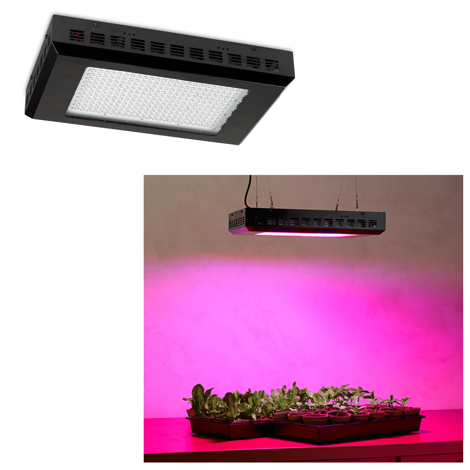 Tesler Rectangular 600 Watt LED Indoor Grow Light W2238 Lamps Plus