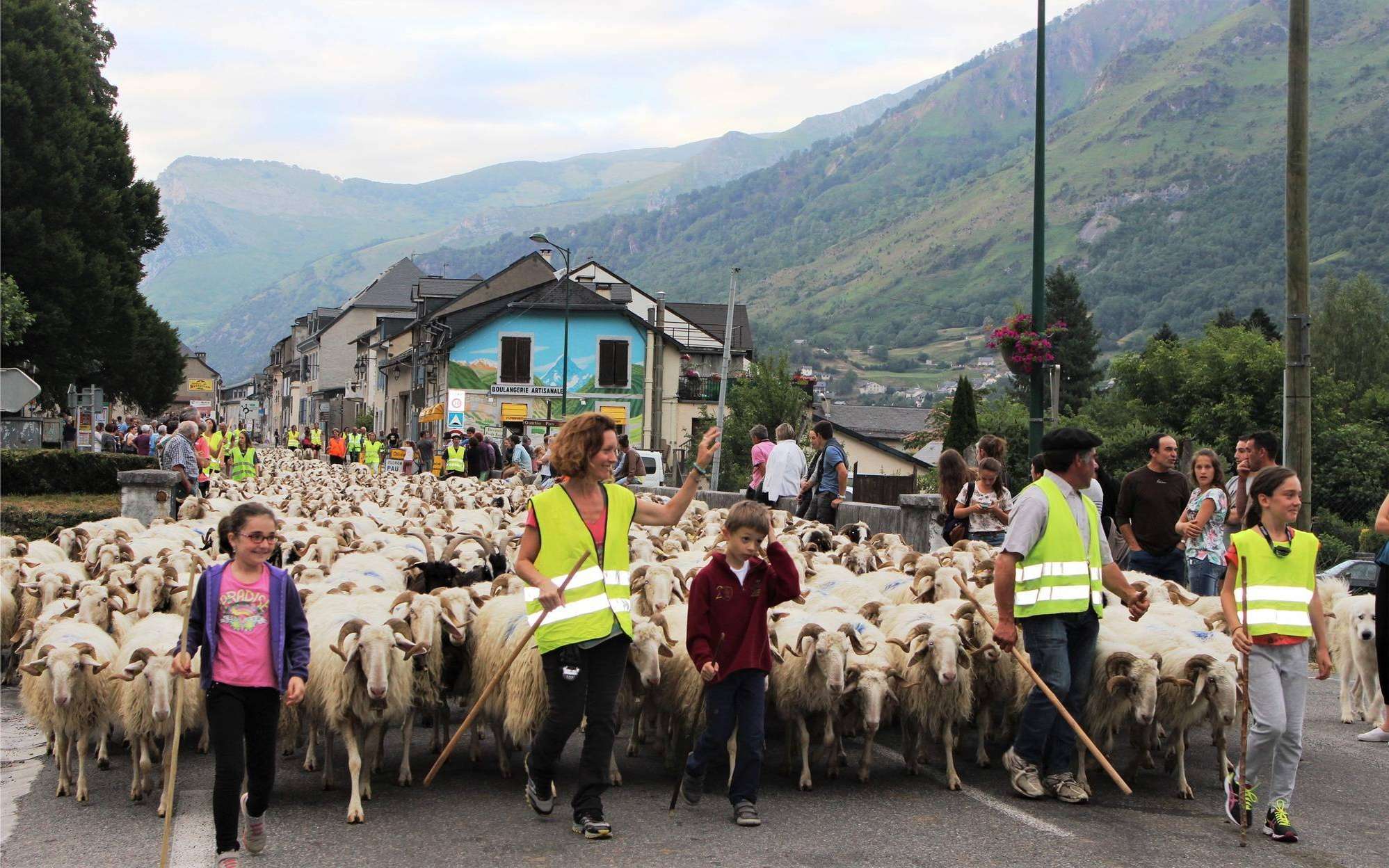 Laruns la fête de la transhumance vendredi La République des
