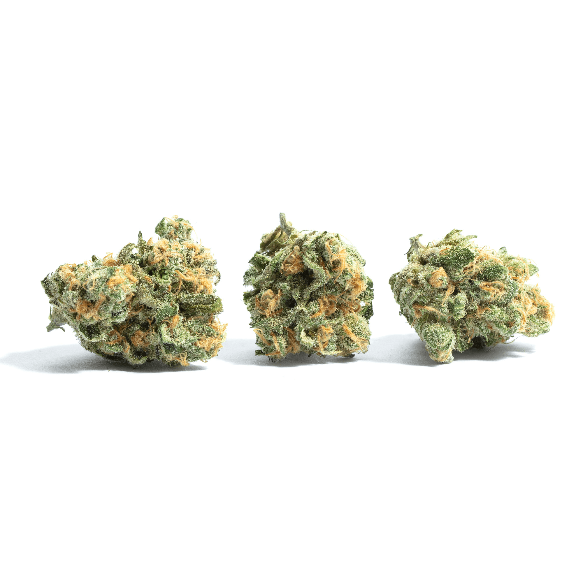 Sour Joker aka Joker Weed Strain Information Leafly