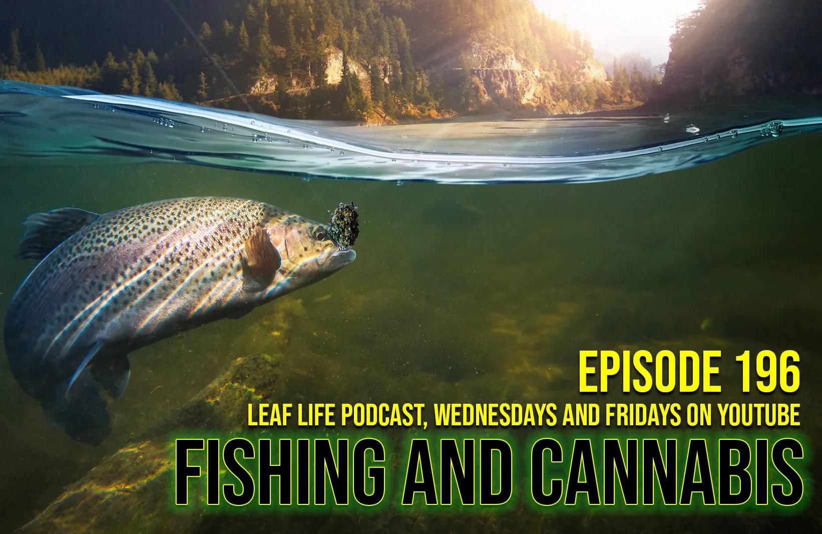 Show 196 Fishing and Cannabis Leaf Nation
