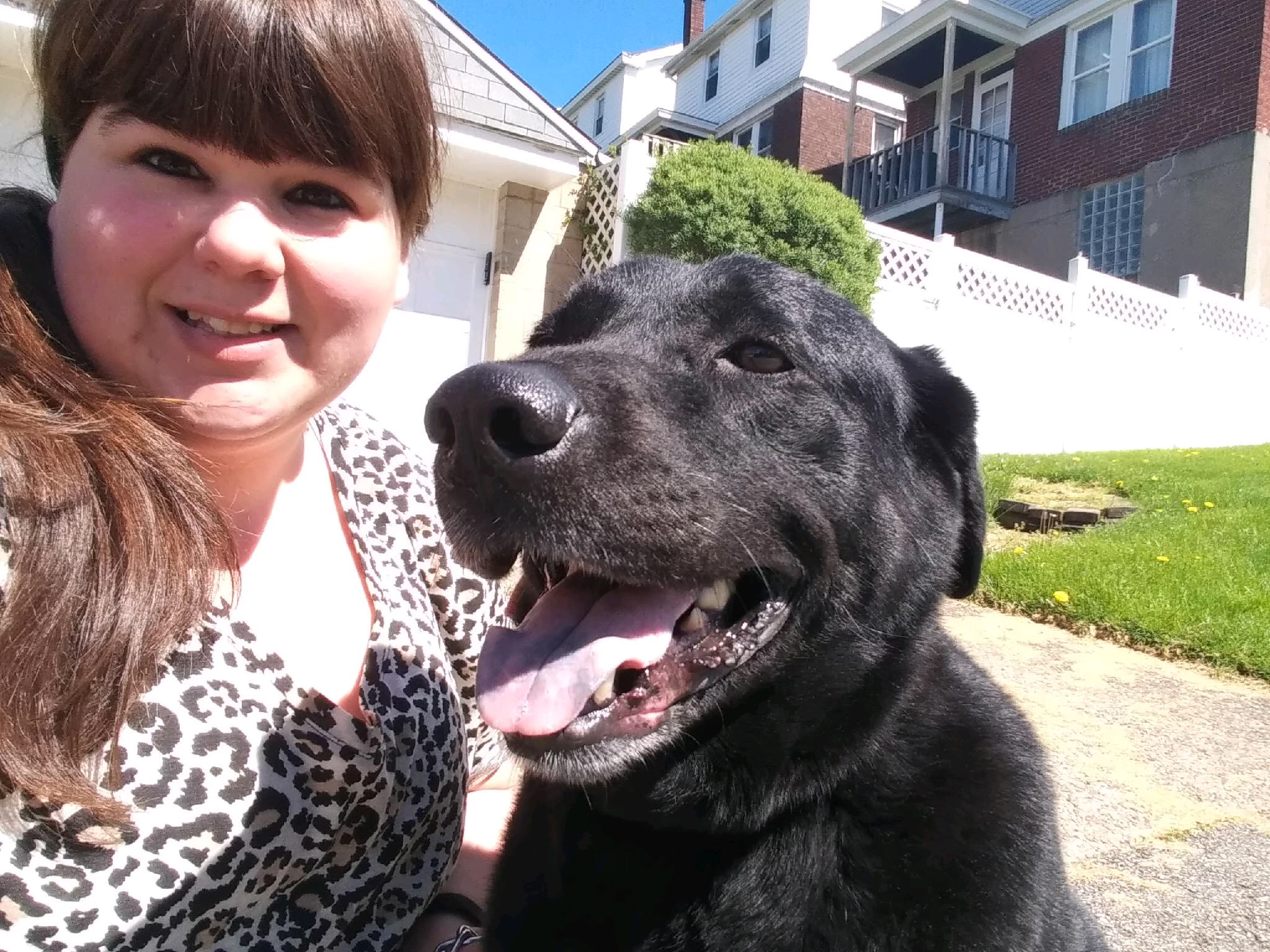 Our Staff Steel City Pet Sitters and Dog Walkers, Pittsburgh, PA