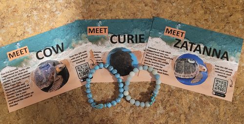 KoaKoa.life Reviews 1,379 Reviews koakoa.life