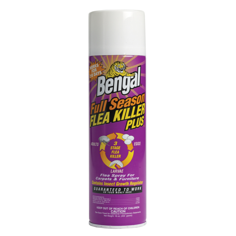 Shop Bengal 16oz Full Season Flea Killer Plus at