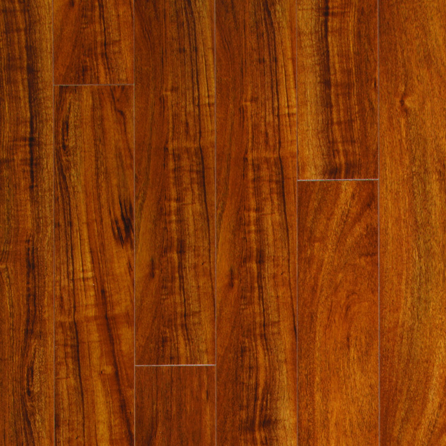 Shop Pergo MAX 5in W x 3.97ft L Mahogany HighGloss Laminate