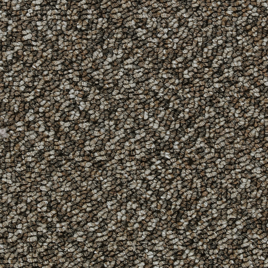 Shop Ol506 Rising Tide Beach Front Outdoor Carpet at