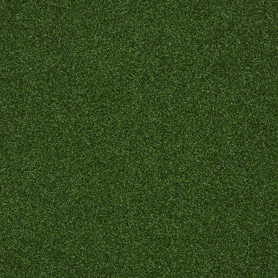 Indoor Outdoor Grass Carpet Lowes Shop Shaw Piedmont Park Infield Outdoor Carpet at