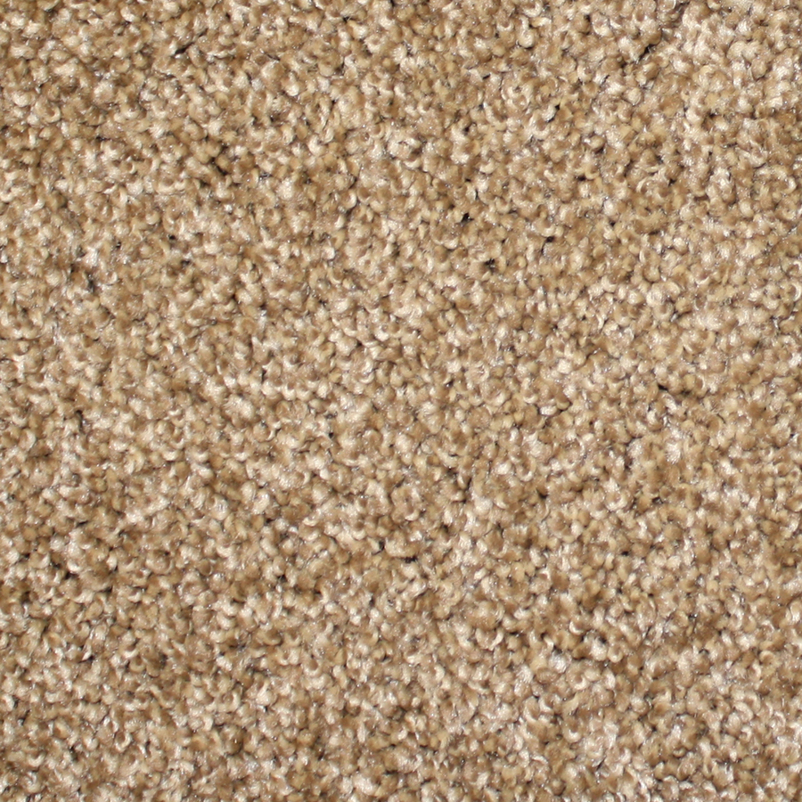 Shop STAINMASTER Stock Carpet Brown Textured Indoor Carpet at