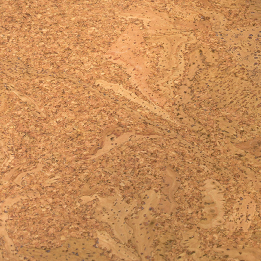 Cork Flooring Cork Floors Lowes