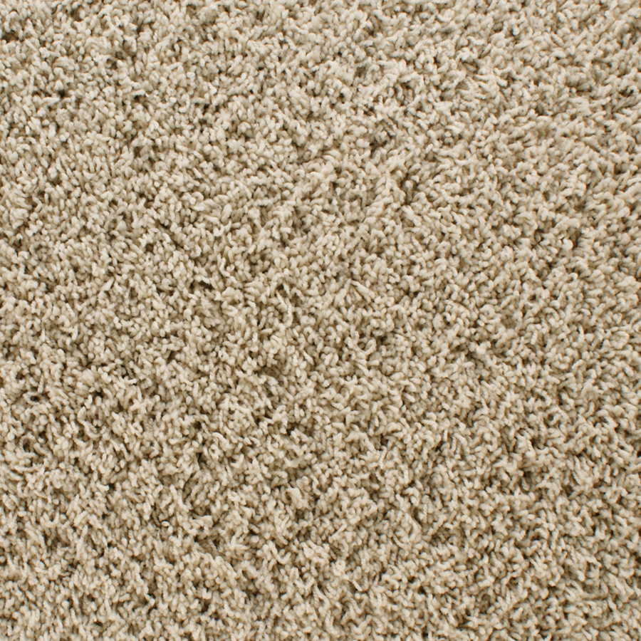 Shop STAINMASTER Active Family Dorchester Cream Frieze Indoor Carpet at