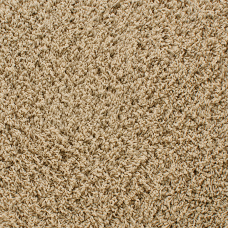 Luxury Nylon Frieze Carpet Shop STAINMASTER Active Family Dorchester