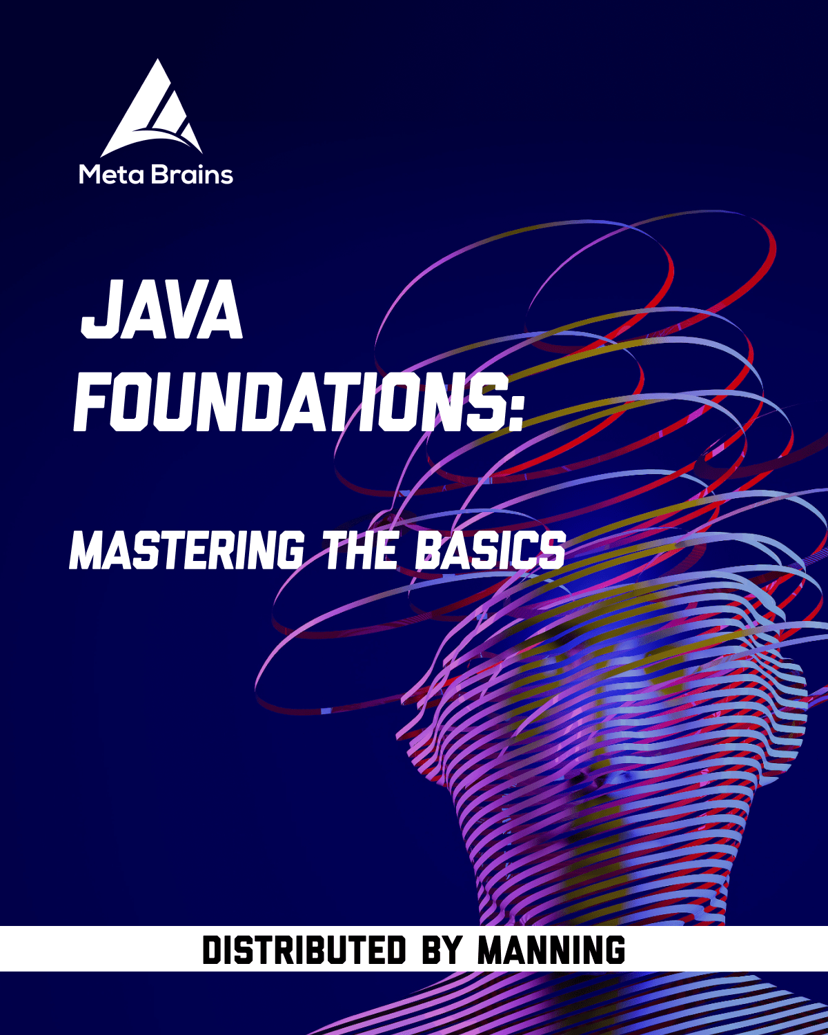 Java Foundations Mastering the basics Meta Brains