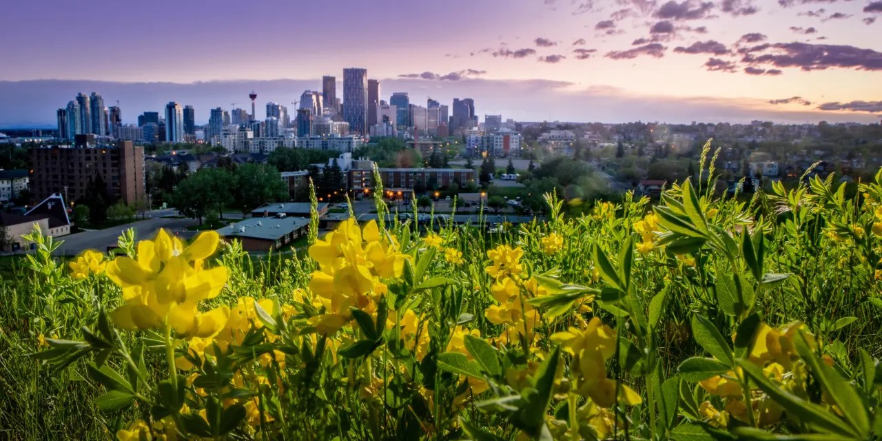Calgary’s Affluent Springbank Hill Is a More Bucolic Alternative to