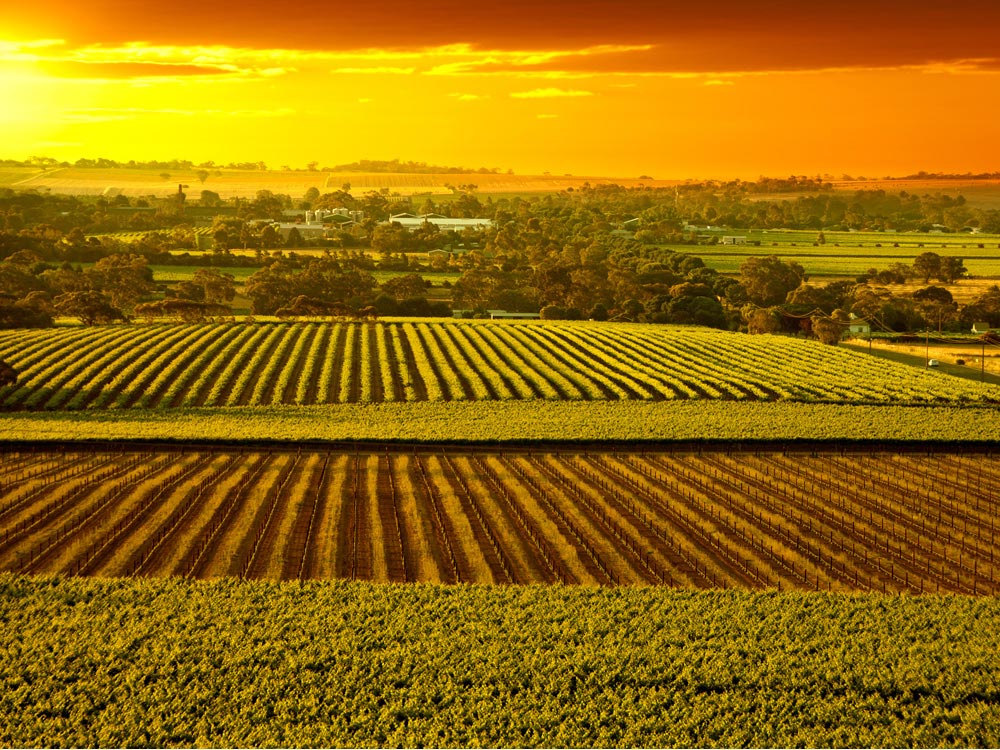 Barossa Valley, South Australia Location, Attractions, Facts, Best