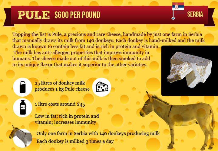 Most expensive cheese around the world Around the World