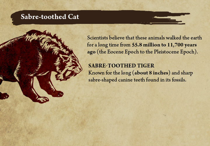 Top 10 Extinct Animals Around the World