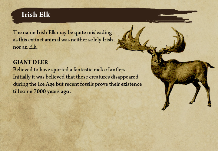 Top 10 Extinct Animals Around the world