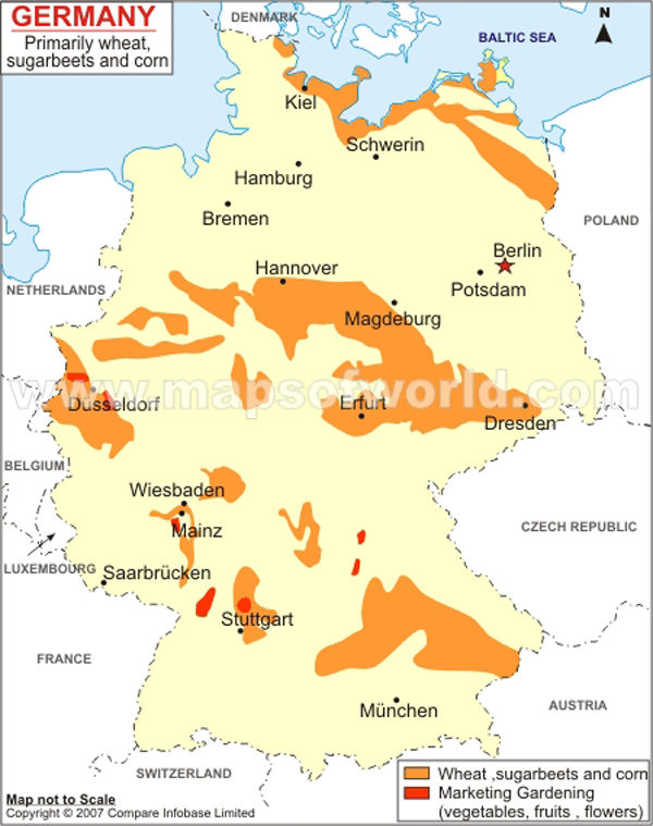 Map of Sugar Beets Vegetation in Germany