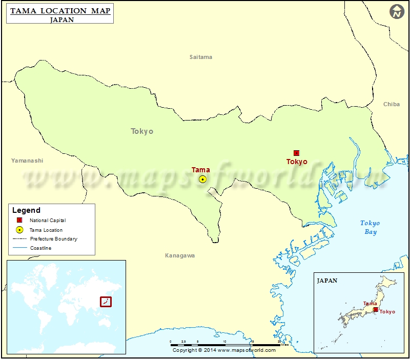Where is Tama Location of Tama in Japan Map