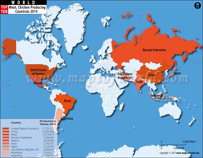 Top 10 Chicken Meat Producing Countries Map