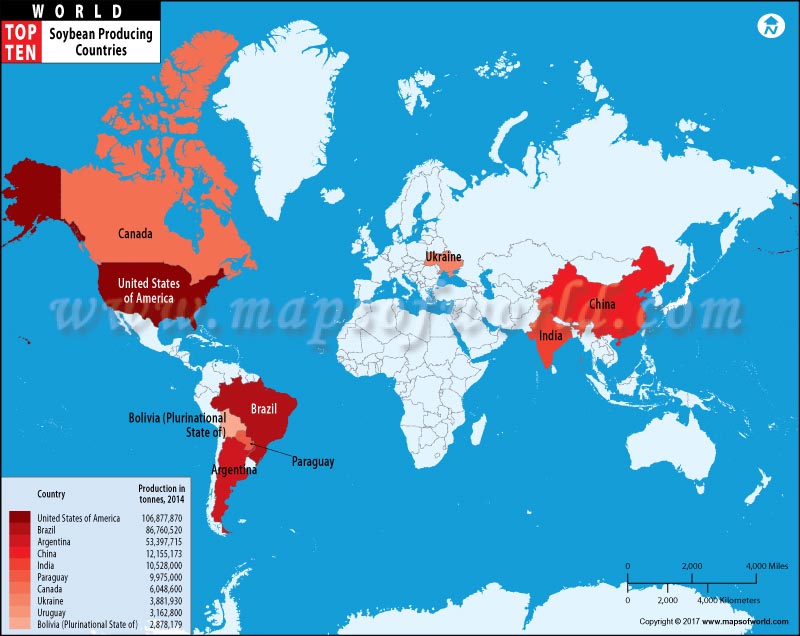 Top 10 Soybean Producing Countries Map