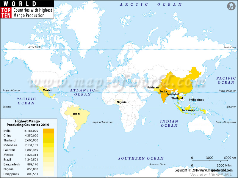 Top 10 Mango Producing Countries in the World Map