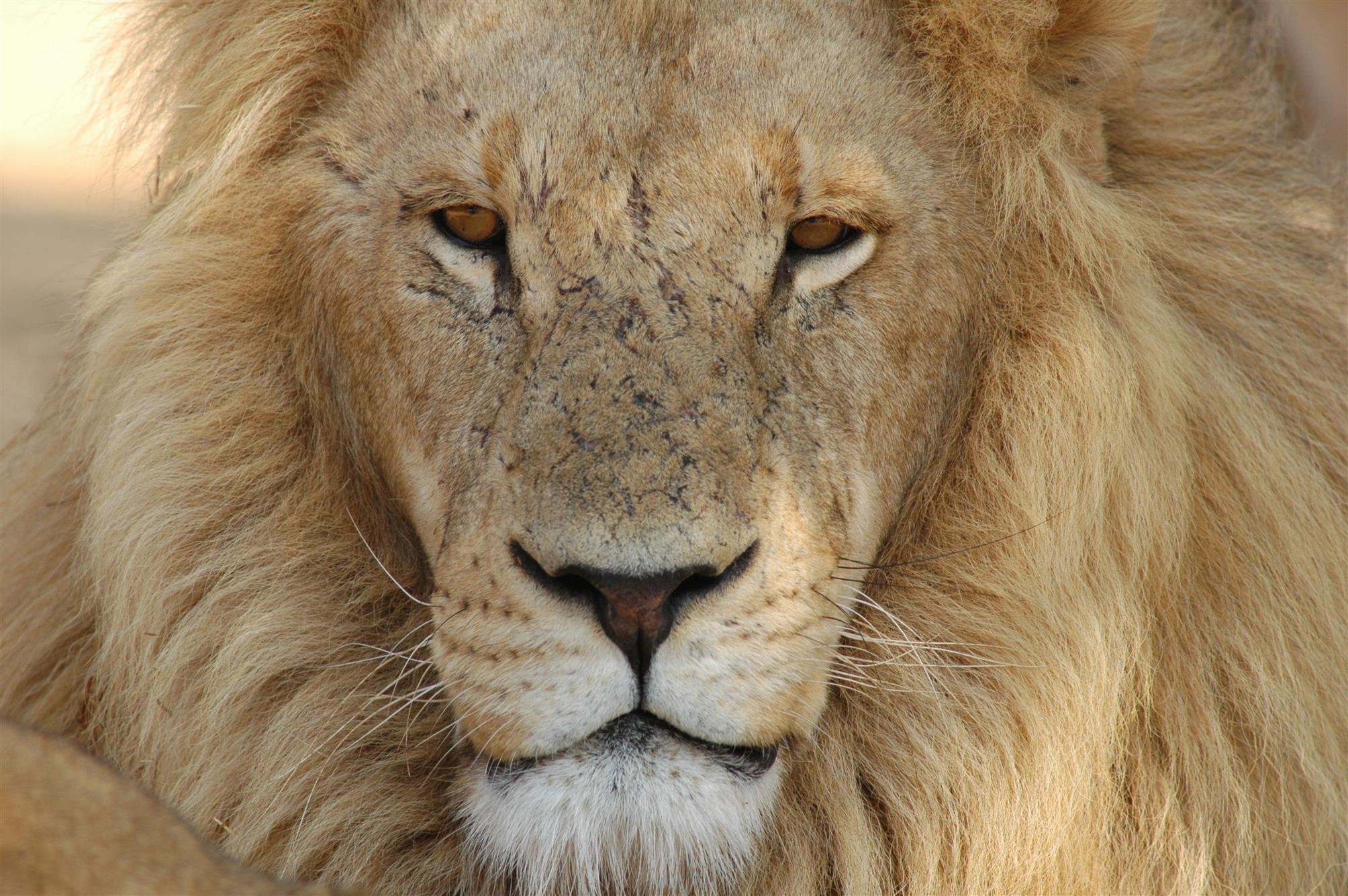 Bryson City NC Homes and Real Estate Keller Williams RealtyA Better