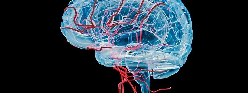 Brain Disease Quiz Beware the Aspergillus
