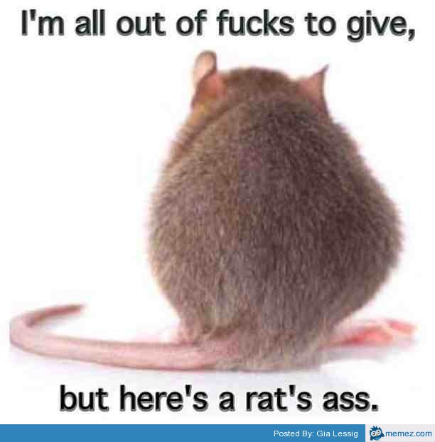 I don't give a Rats Ass