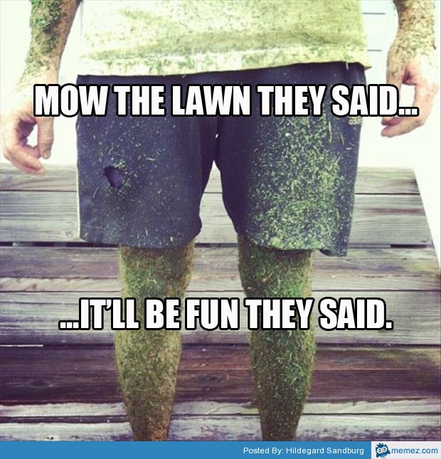 Mow the lawn they said