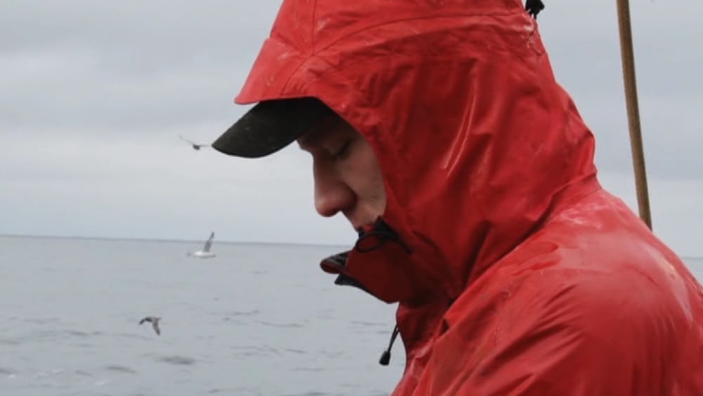 Deadliest Catch Blue King Crab / Deadliest catch is one of those shows