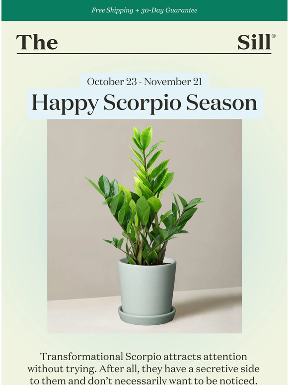 The Sill Our Scorpio Plant Pick ♏ Milled