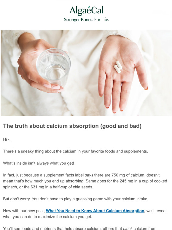AlgaeCal What You Need to Know About Calcium Absorption Milled