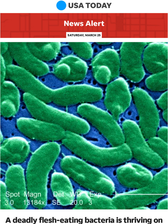 USA TODAY News alert A deadly flesheating bacteria is thriving on