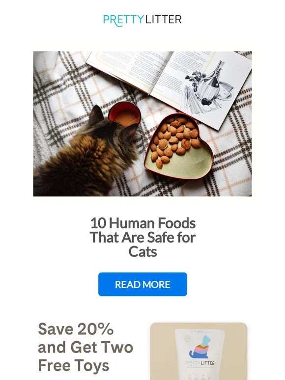Pretty Litter 10 Best Human Foods to Share With Your Cat Milled