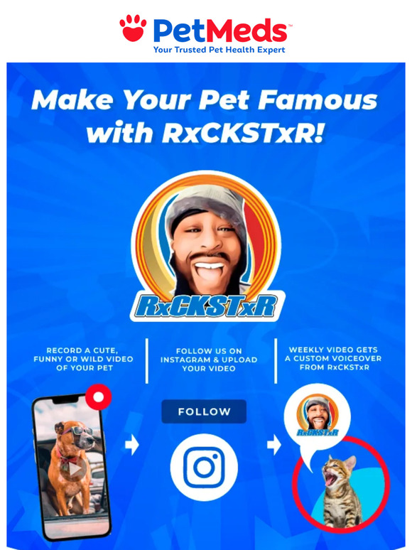 1800 Pet Meds 🐾 Your Pet's Moment to Shine Feature on PetMeds