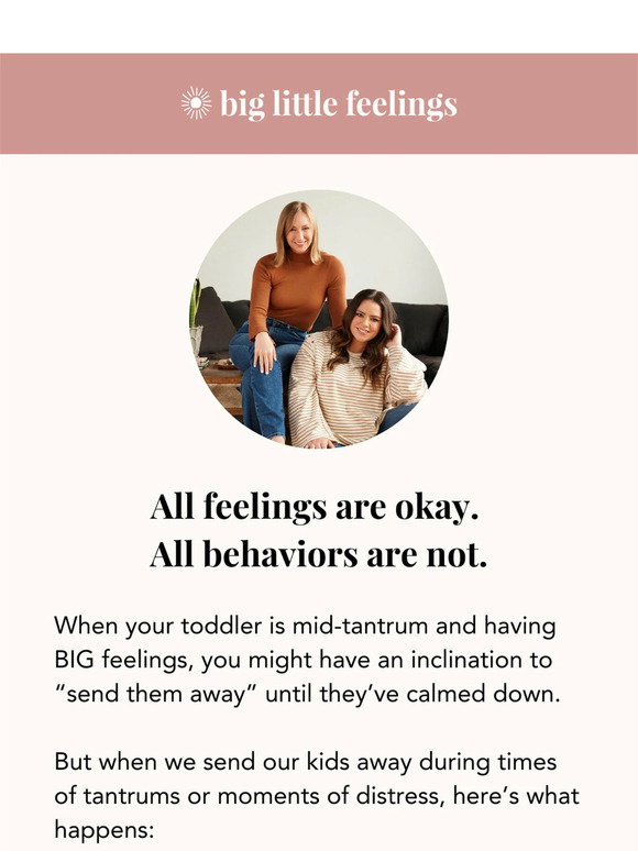 Big Little Feelings How to Respond to Big Feelings > Milled