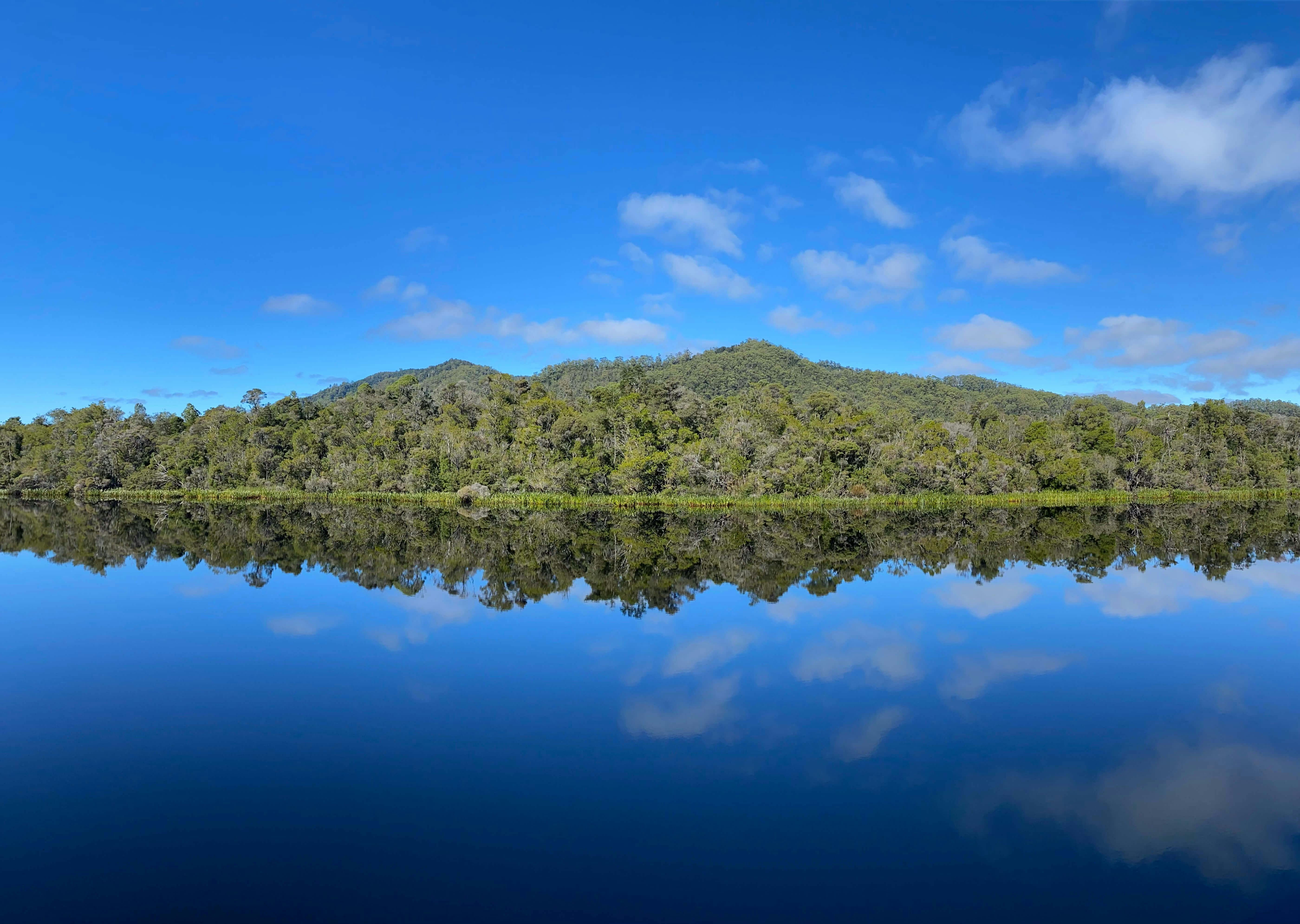The West Coast of Tasmania MillMint