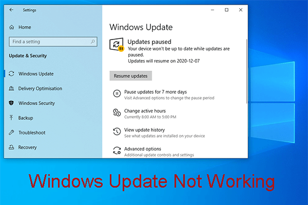 Pro Guide to Reset Windows Update Components Windows 10/11