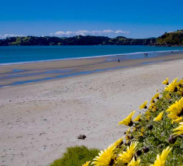 Beach Apartments Waiheke Island