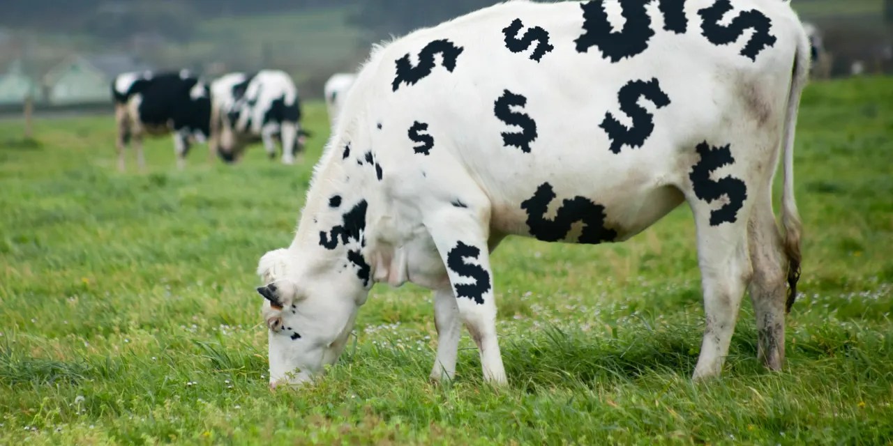 This cashcow inventory technique is attracting a number of cash. Here