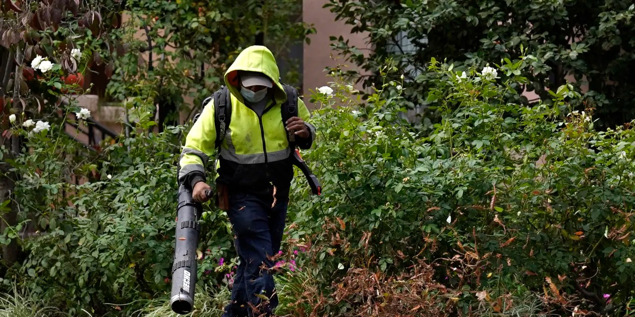 California to ban gaspowered leaf blowers and mowers, adopts tougher