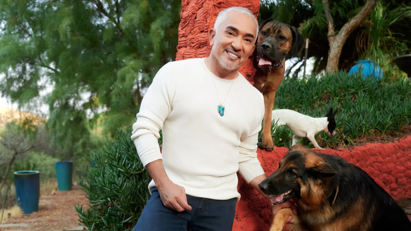 Dog guru Cesar Millan A long walk is 'biggest birthday gift you can