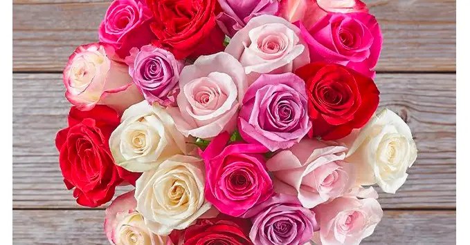 24 roses, delivered, for under 50 — and 4 other Valentine’s Day