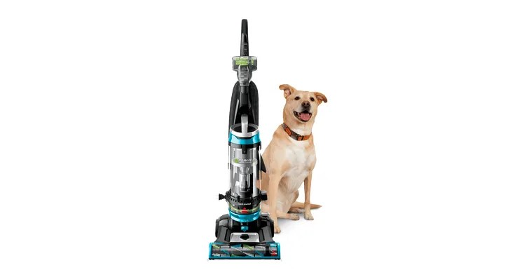 What Is The Best Vacuum Cleaner For Dog Hair