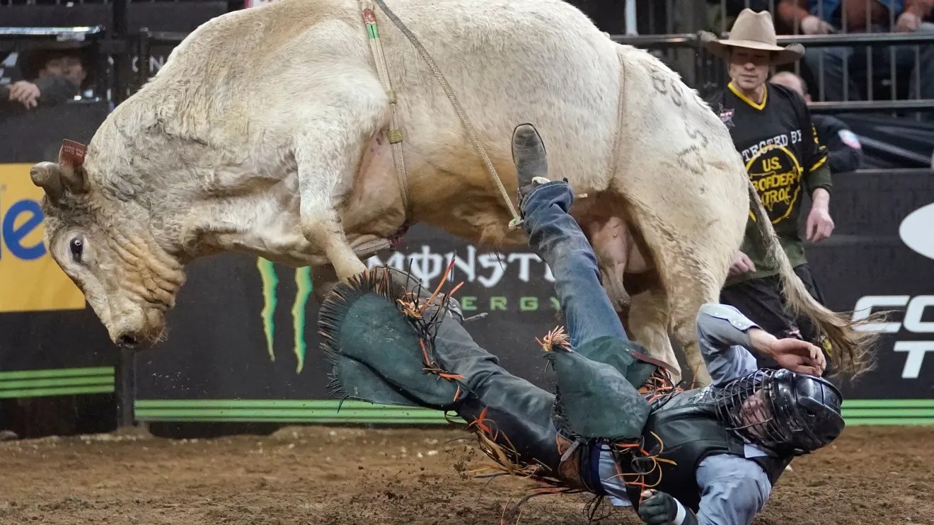 Meet the cowboys bringing bull riding and 750 tons of dirt to a city near you MarketWatch