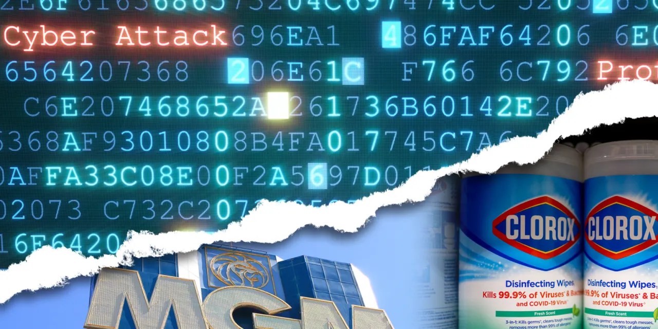 A stranger in your hotel room? Kittylitter shortages? Online attacks