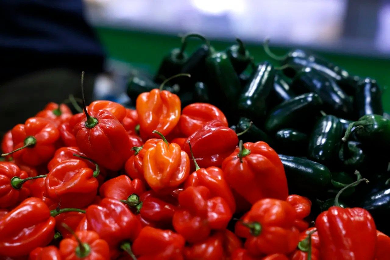 Wholesale prices rise sharply, pointing to persistent inflation — but there’s some good news