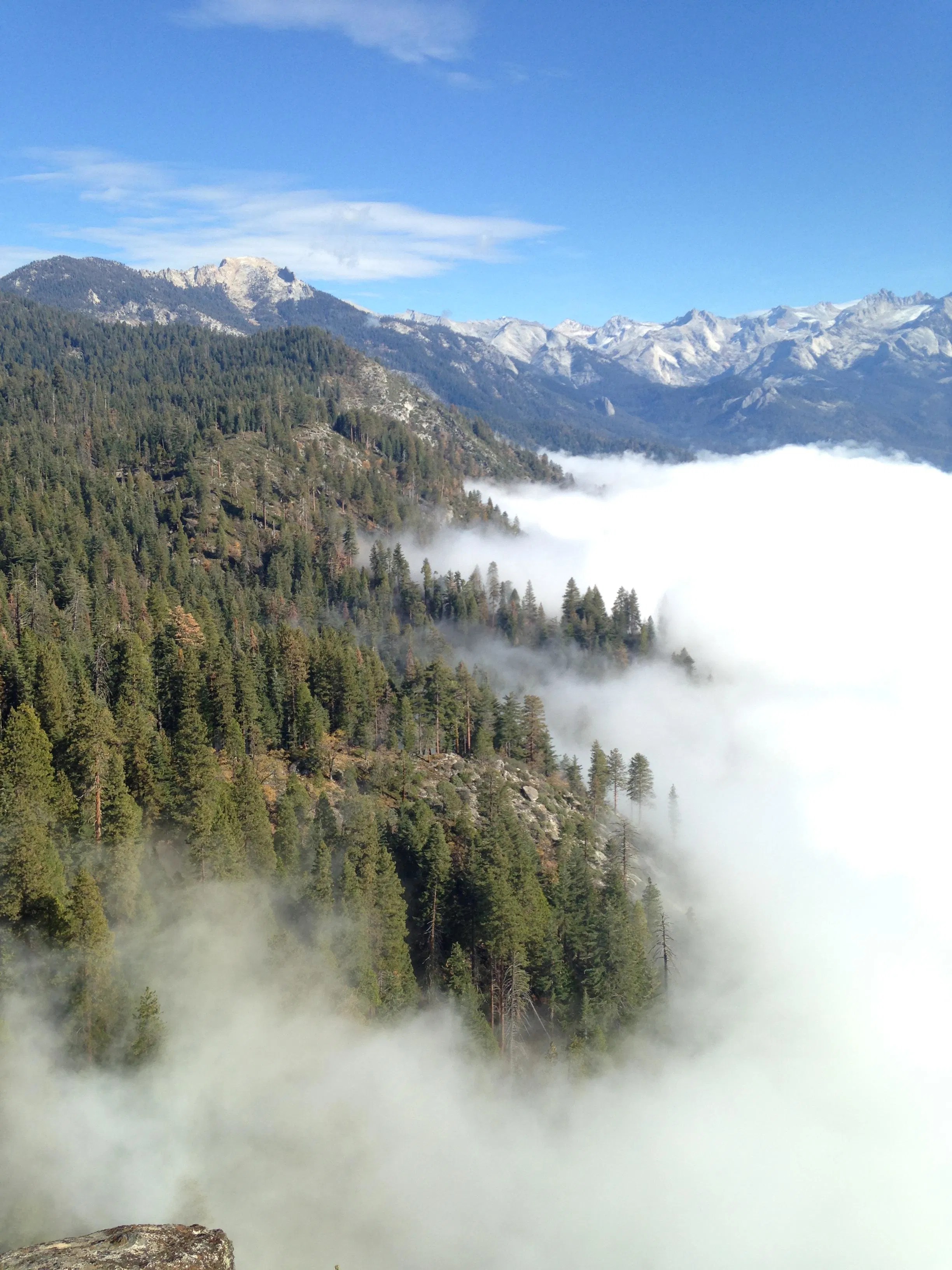 Sequoia National Park in Visalia 13 reviews and 34 photos