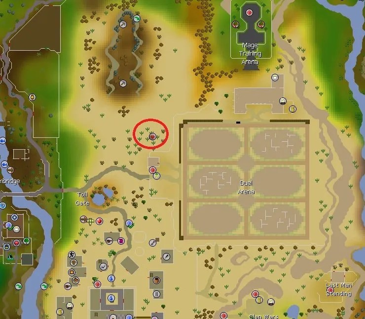 Everything You Need to Know About the OSRS Earth Rune Altar OSRS